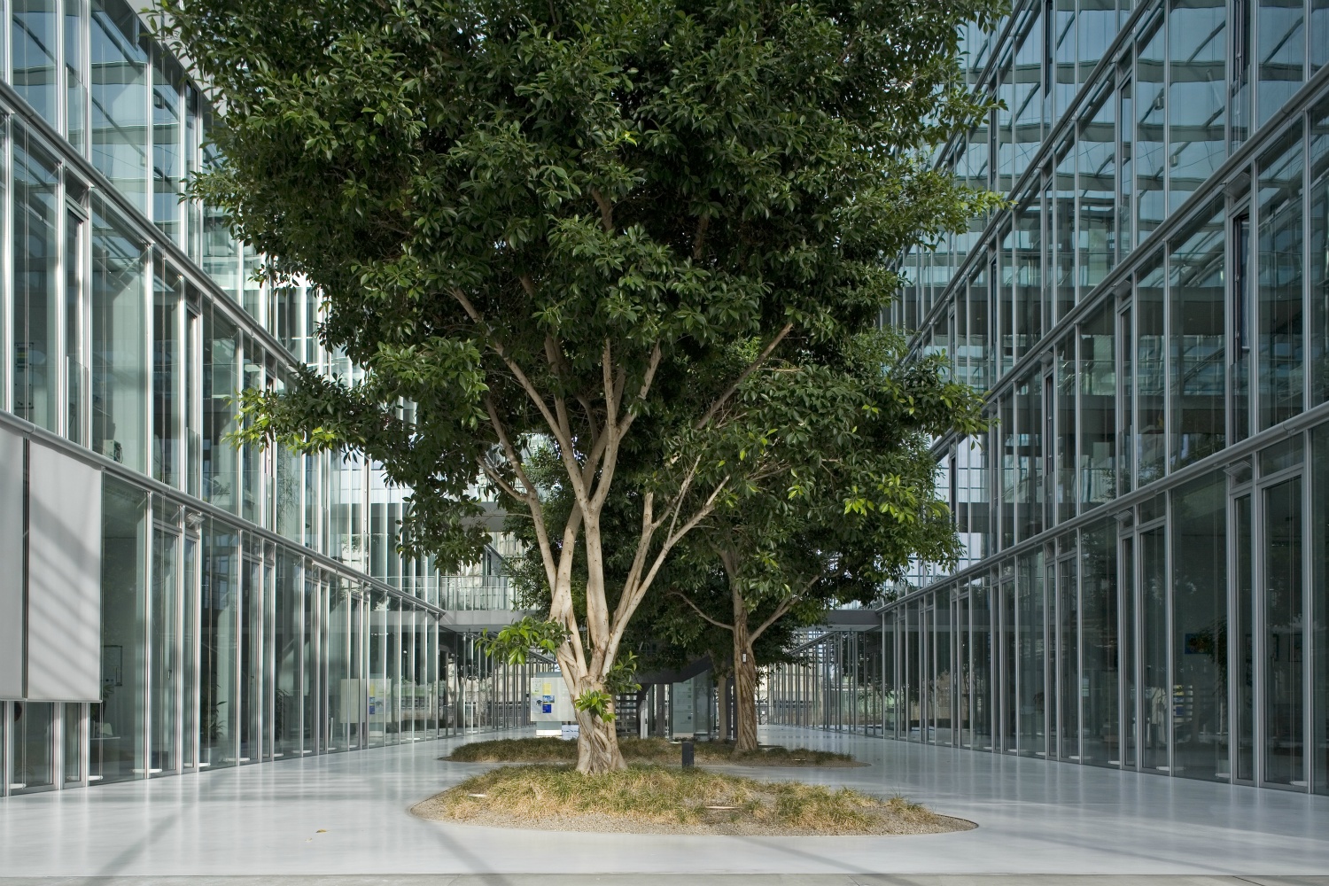 Hauptverwaltung Stadtwerke 2208 (Ingenhoven & Partner 2004)