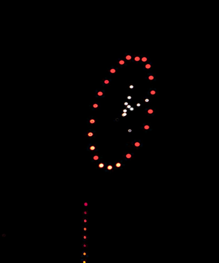 Feuerwerk am Japantag 2009