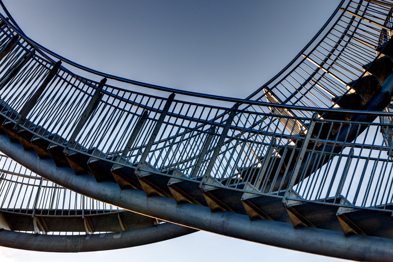 DU Tiger + Turtle (Heike Mutter + Ulrich Genth 2011)