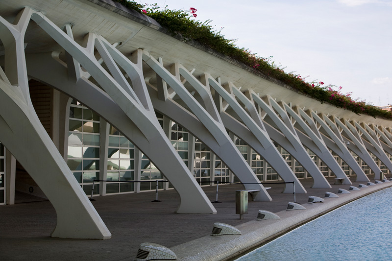 Die Cuidad Artes wurde von Santiago Calatrava entworfen und 1991 - 2006 gebaut