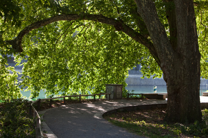 Park an der Limmat.